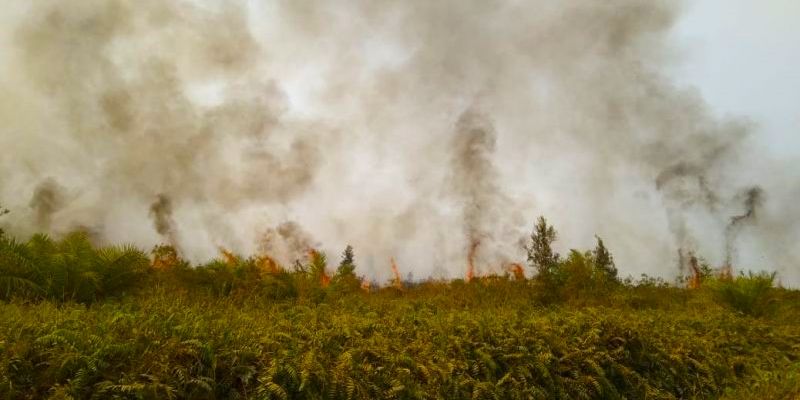 Waspada !, Kalbar Masuk Provinsi Terdampak El Nino
