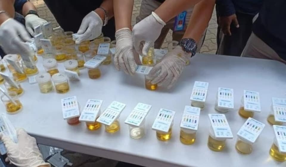 Tes Urine Positif Narkoba, 15 Anggota Satpol PP Ketapang Dipecat