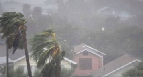 Waspada !, PBB Umumkan Petaka Baru di Bumi