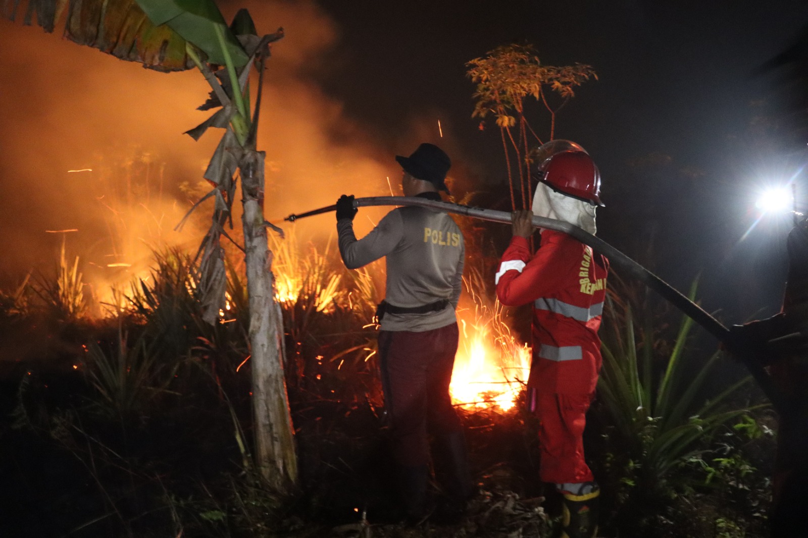 Pelaku Karhutla Terus Bertambah Digaruk Polisi