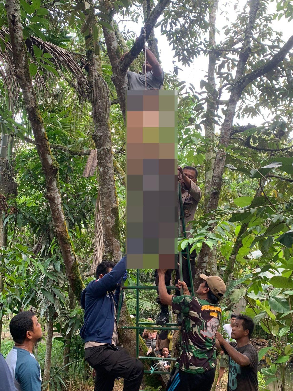 2 Tahunan Depresi, Ujung-ujungnya Ditemukan Tewas Tergantung di Pohon