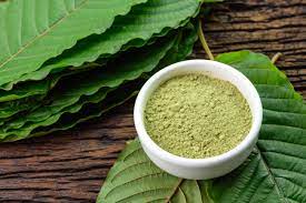 Ini Kata BNN Tentang Kratom