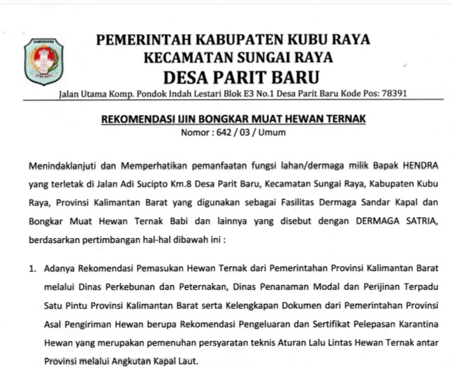 Nah Loh !, Bongkar Muat Babi di Dermaga Satria Kantongi Rekomendasi Kades Parit Baru
