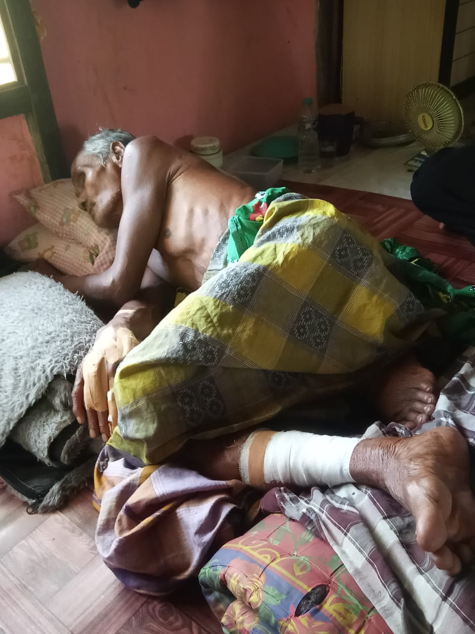 Buaya Serang Kakek Saat Ambil Wudhu