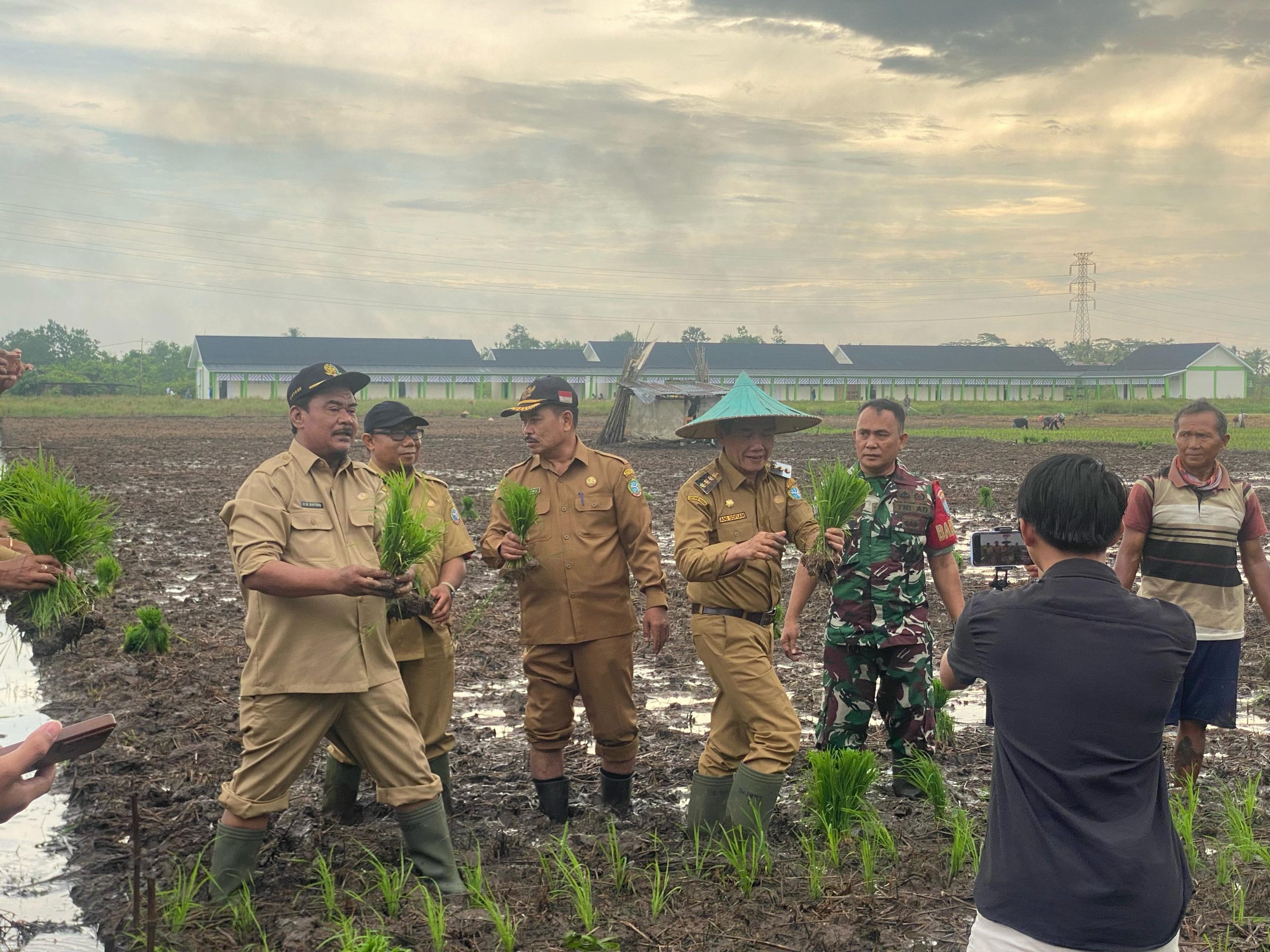 Petani di Pontianak Utara Tanam Bibit Unggul Padi di Lahan 15 Hektare