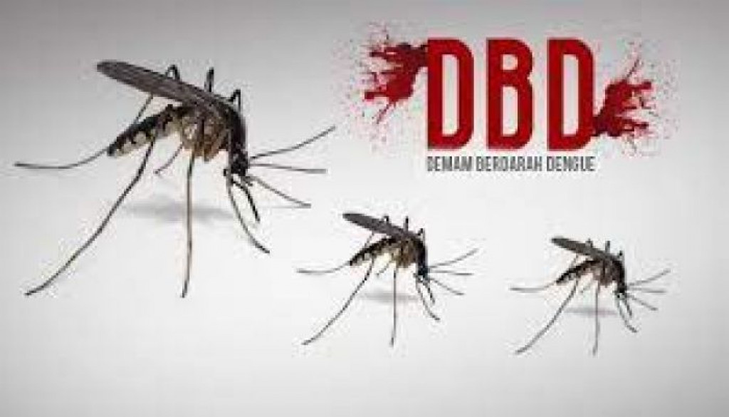 Ternyata Begini Faktor Penyebab Utama Kasus DBD 2024 Meningkat di Indonesia