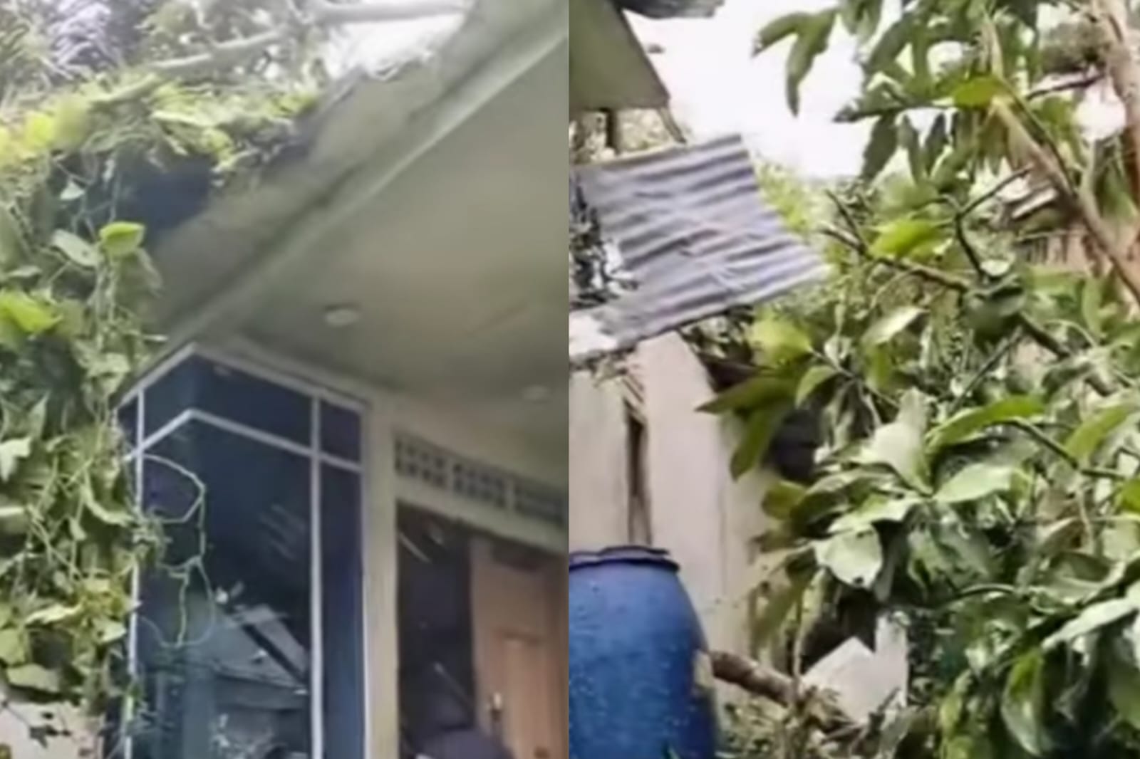 Dua Rumah di Kecamatan Pemangkat Terdampak Angin Kencang, BPBD Sambas Lakukan Peninjauan