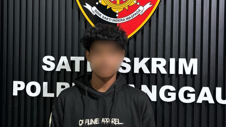 Hidung Cidera Kepala Bengkak Gara-gara Ditinju, Istri Polisikan Suaminya