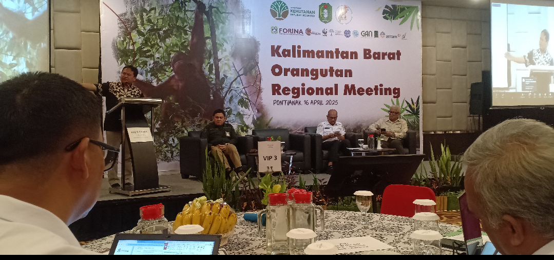 Validasi Data dan Populasi Habitat, Komitmen BKSDA Kalimantan Barat dalam Konservasi Orangutan