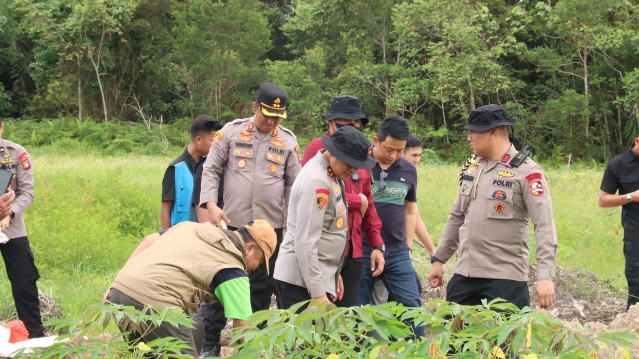 Kapolda Kalbar Kunjungi Sanggau, Tinjau Program Ketahanan Pangan dan Panen Kedelai