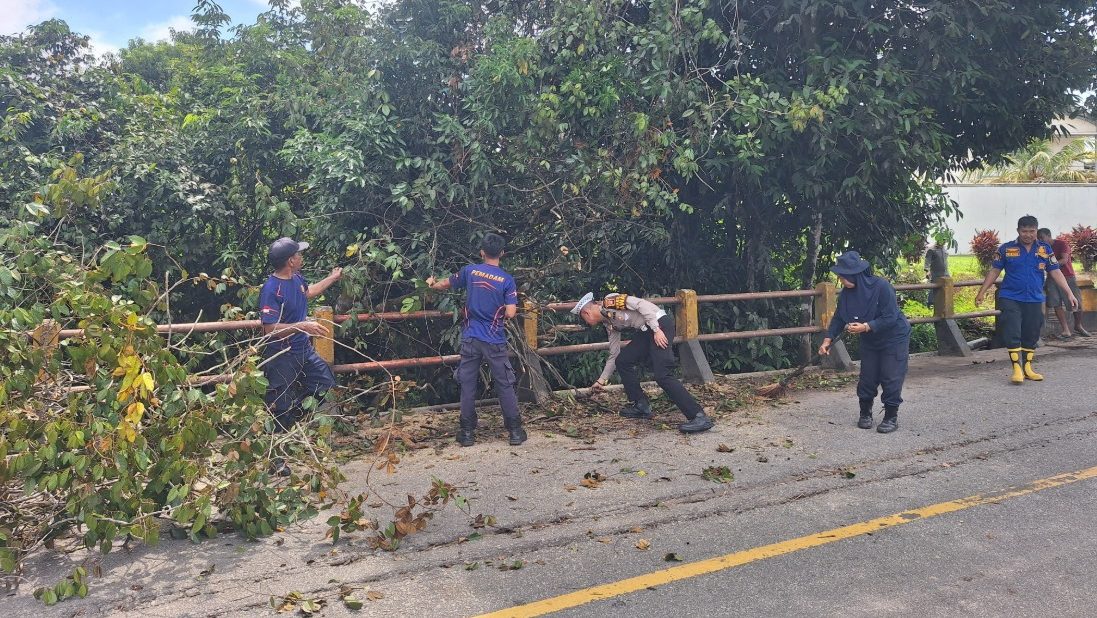 Pengamanan Lalu Lintas dalam Pemangkasan Pohon di Sekadau: Upaya Cegah Kecelakaan di Jalan Sekadau–Sanggau