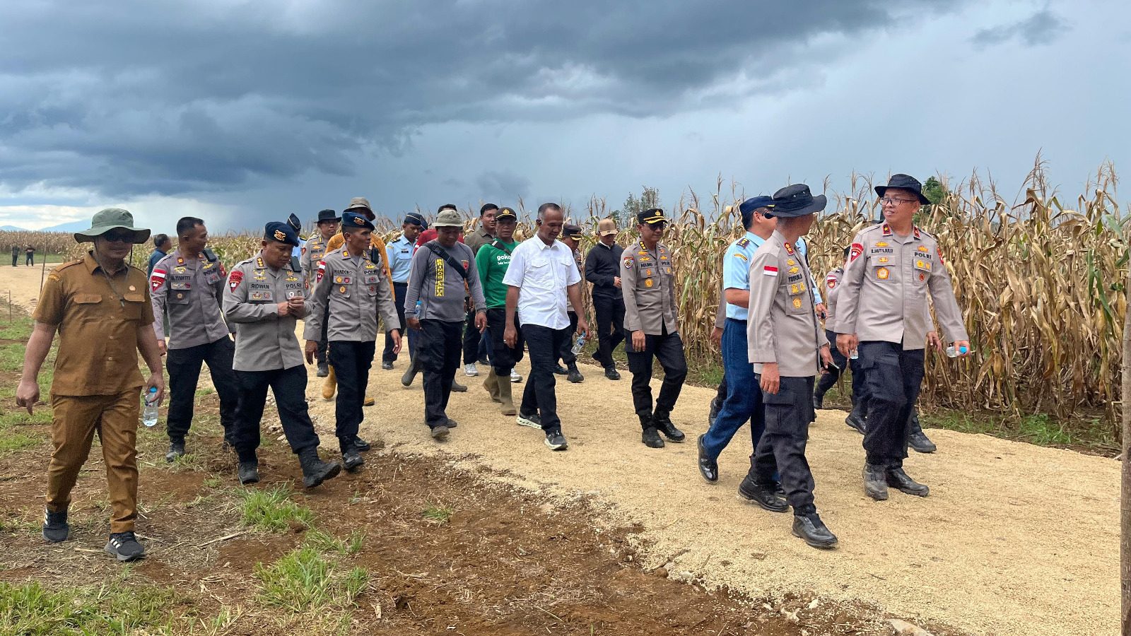 Wakapolda Kalbar dan Satbrimob Tinjau Lahan Panen Jagung di Bengkayang