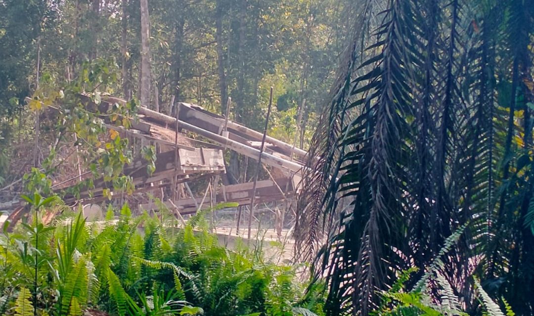 PETI di Sekadau Makin Terang-Terangan, Warga Pertanyakan Sikap Aparat Penegak Hukum