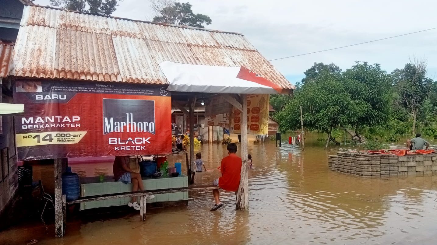 BNPB Catat 21 Kejadian Bencana dalam 24 Jam Terakhir, Termasuk Longsor dan Karhutla