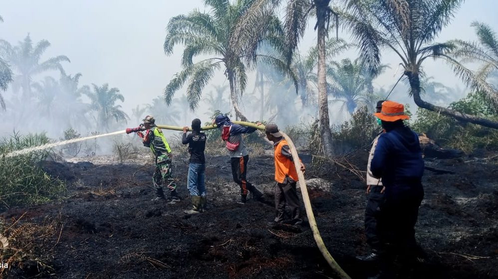 Bencana Hidrometeorologi Terjadi di Sejumlah Wilayah Indonesia, Ini Update Penanganannya