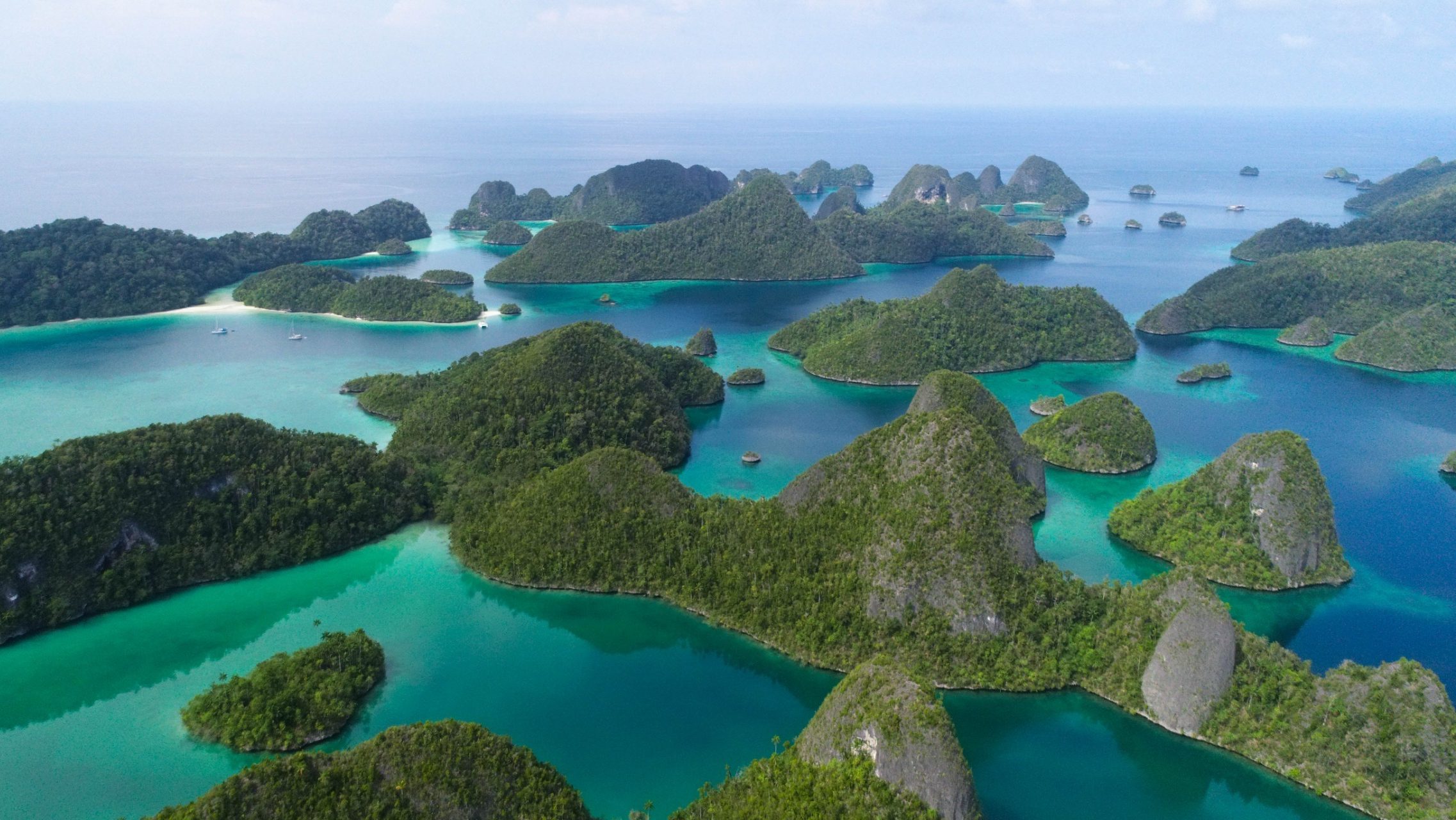 Greenpeace Desak Pencabutan Izin Tambang Nikel di Raja Ampat Demi Lindungi Ekosistem