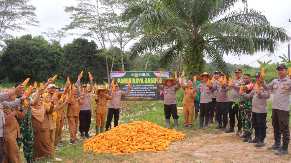 Sintang Sukses Gelar Panen Raya Jagung, Dorong Ketahanan Pangan Nasional