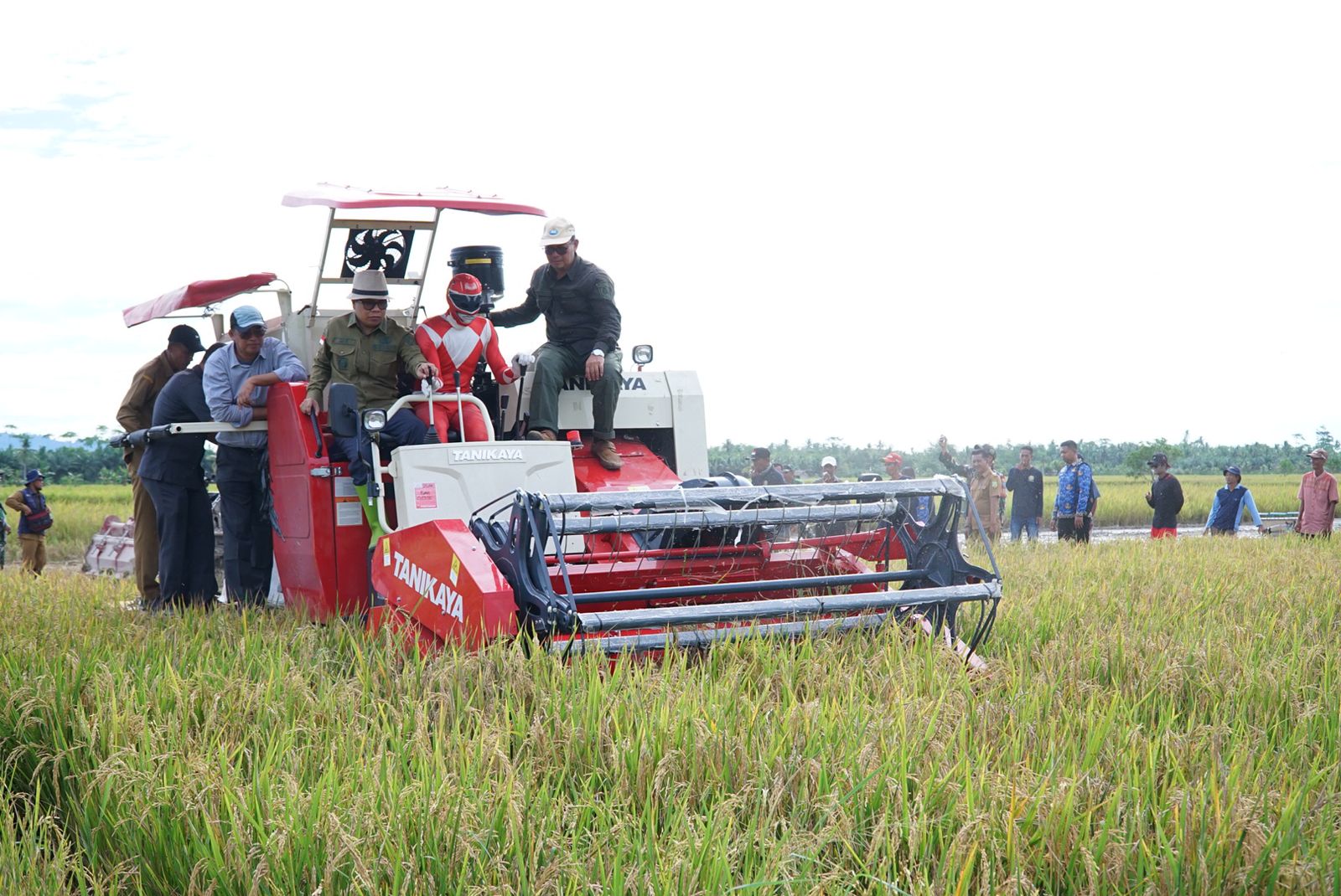 Sambas Lumbung Pangan, Miliki 274 ribu Petani