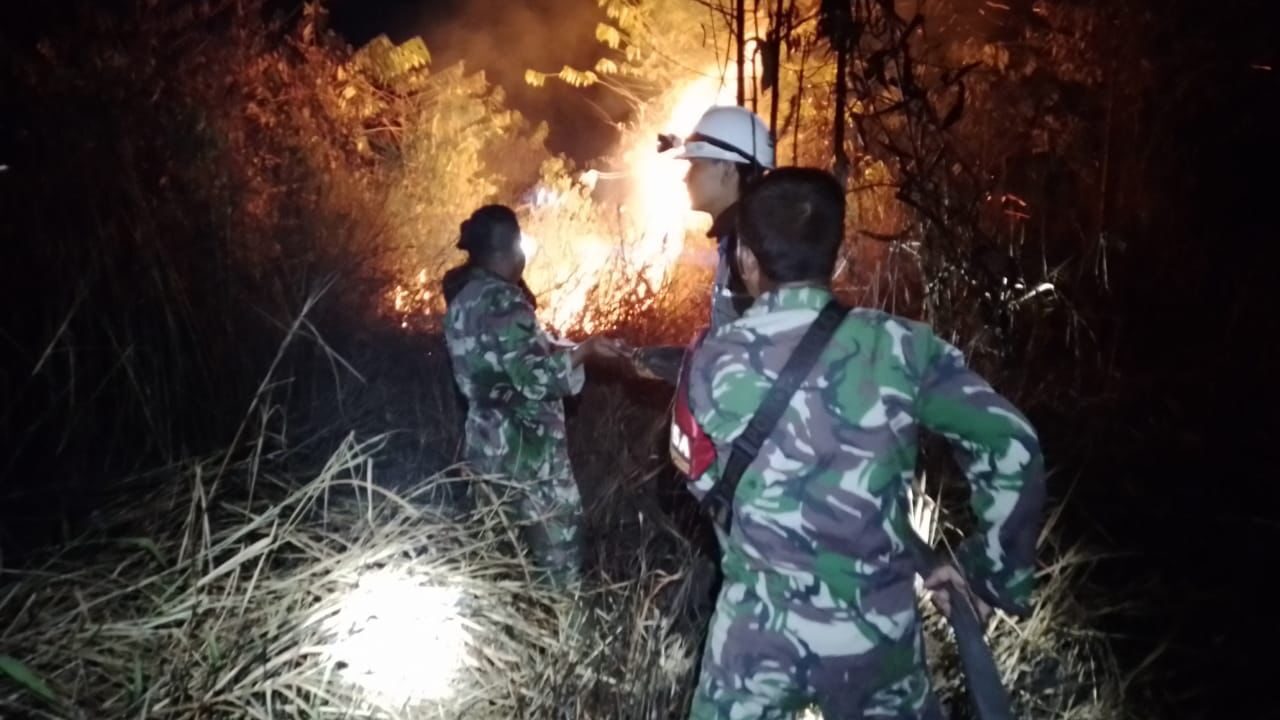 BNPB: Waspada Bencana di Awal Agustus 2025, Karhutla dan Banjir Landa Sejumlah Wilayah