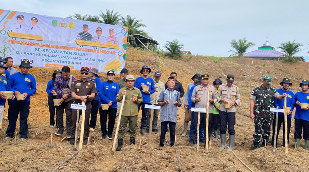 Sambas Targetkan 975 Ton Jagung untuk Dukung Ketahanan Pangan Nasional