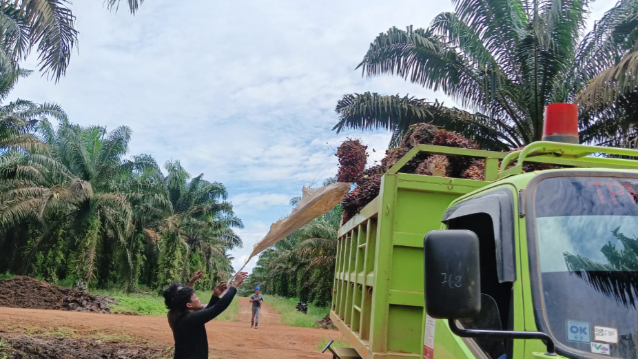 Borneo Forum ke-8 di Pontianak Bahas Tata Kelola Sawit dan Ketahanan Pangan