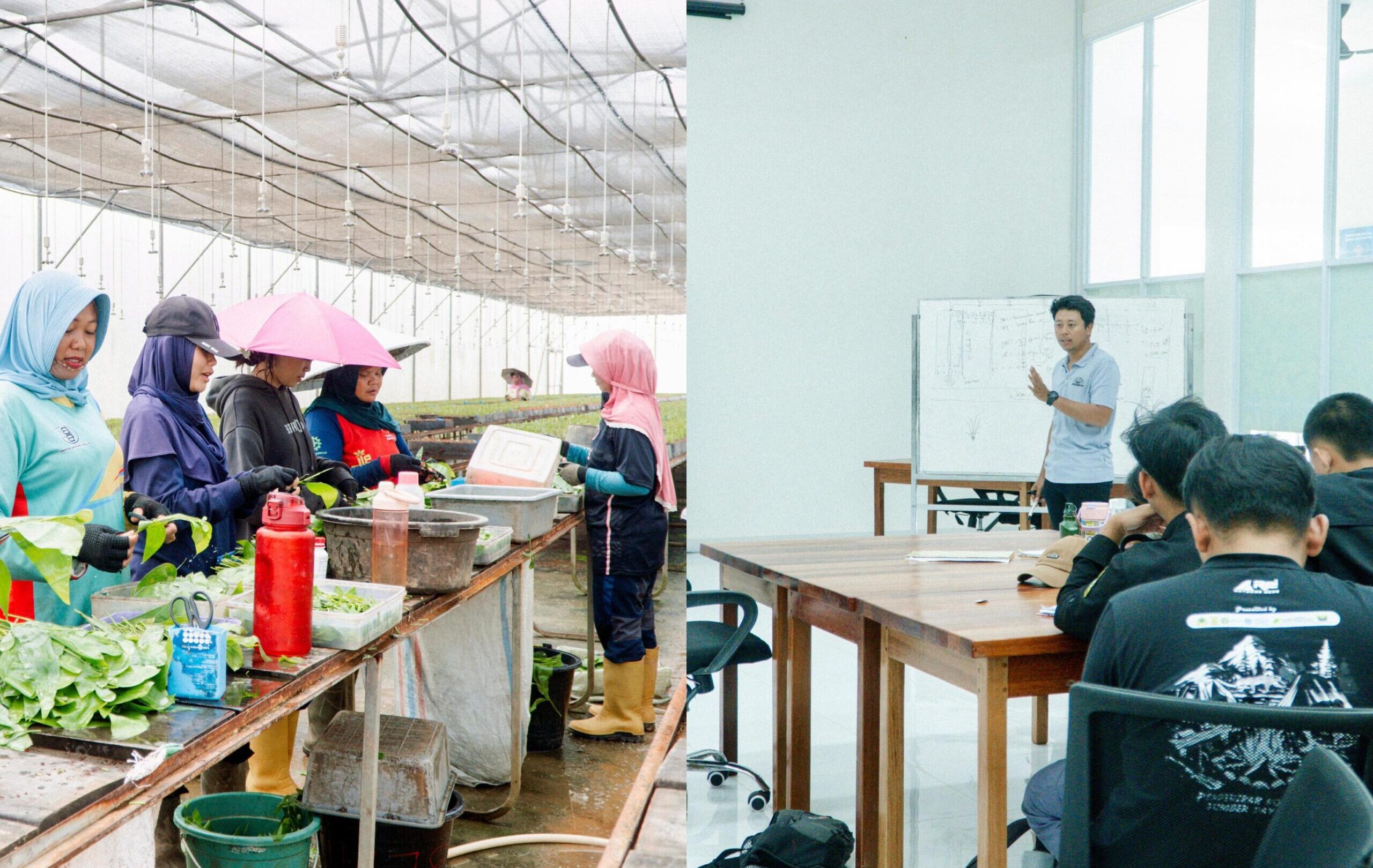 Sinergi Ekonomi Lokal: Bagaimana Model Bisnis Mayawana Persada Mengakar pada Pemberdayaan Komunitas