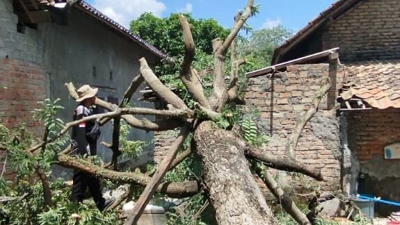 Laporan BNPB: Rentetan Bencana Alam dari Karhutla Hingga Cuaca Ekstrem Landa Sejumlah Wilayah