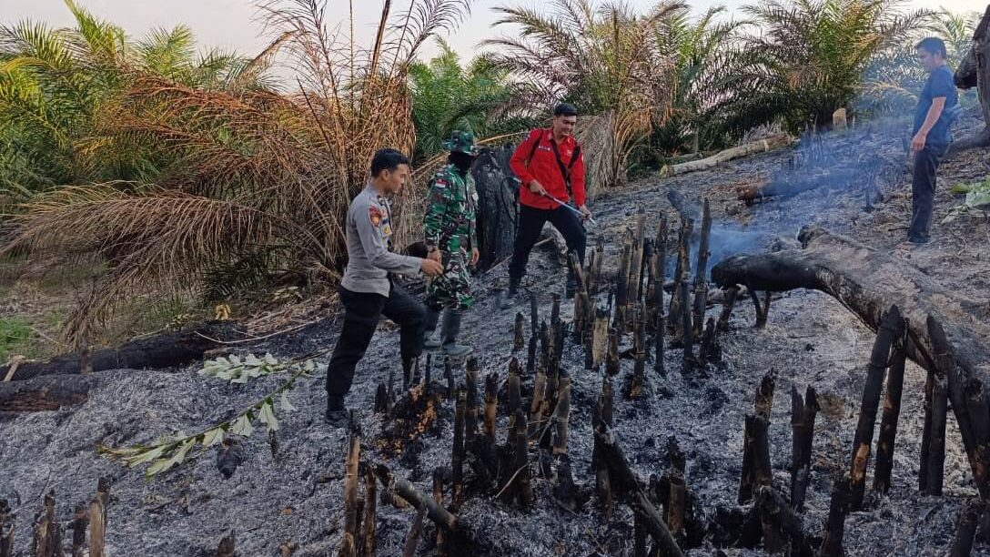 Bukan Kebakaran Liar, Ini Penyebab Munculnya 19 Titik Api di Batang Tarang