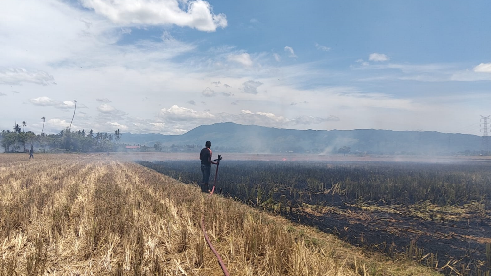 BNPB Catat 30 Bencana di Indonesia, Karhutla hingga Erupsi Gunung Ile Lewotolok