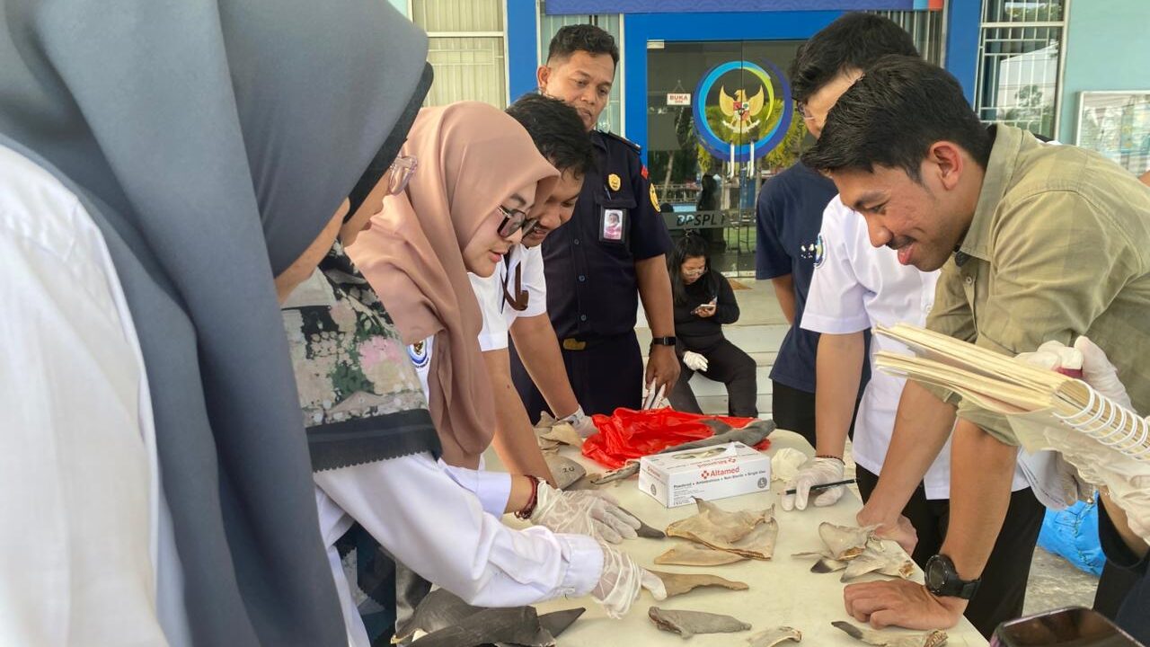 Tingkatkan Kapasitas Petugas, BPSPL Pontianak Gelar Bimtek Ikan Dilindungi dan Appendiks CITES