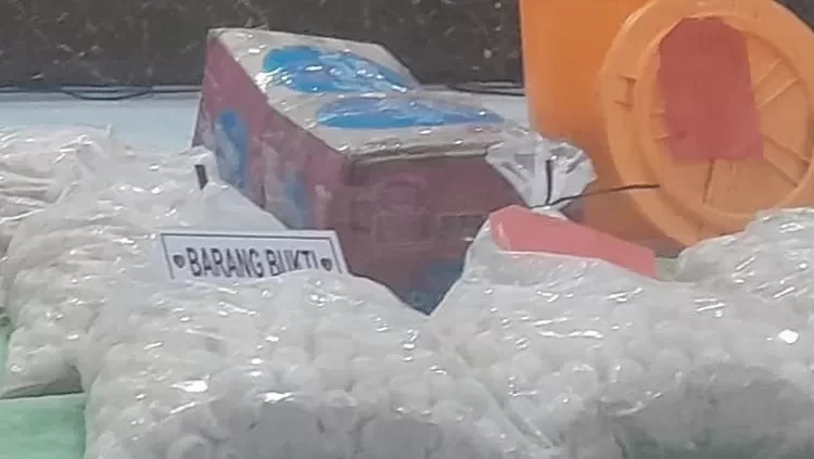 7.156 Telur Penyu Selundupan di Sambas Dimusnahkan, Dinyatakan Tak Layak Tetas