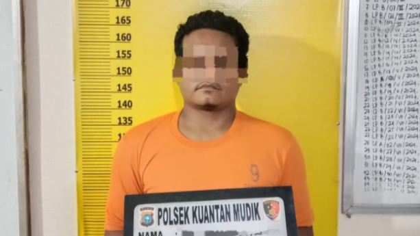Gerebek Lokasi PETI di Kebun Sawit, Polsek Kuantan Mudik Amankan Satu Pelaku