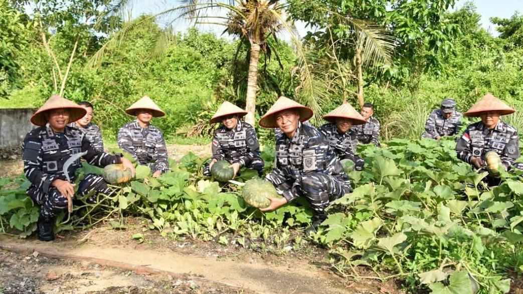 Dukung Ketahanan Pangan, Kodaeral XII Gelar Panen Raya Labu di Lahan Mako