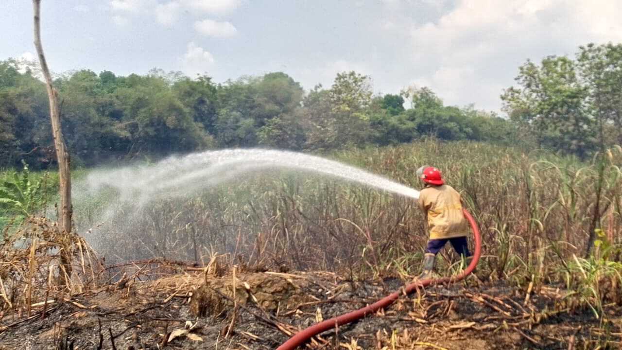 Bencana Terbaru di Indonesia: BNPB Catat Kejadian Bencana dan Antisipasi Dampak Cuaca