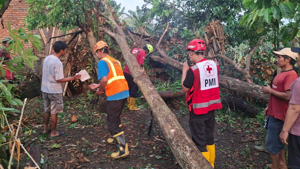 BNPB Rilis Data Bencana Terkini, Sejumlah Wilayah Terdampak Hidrometeorologi