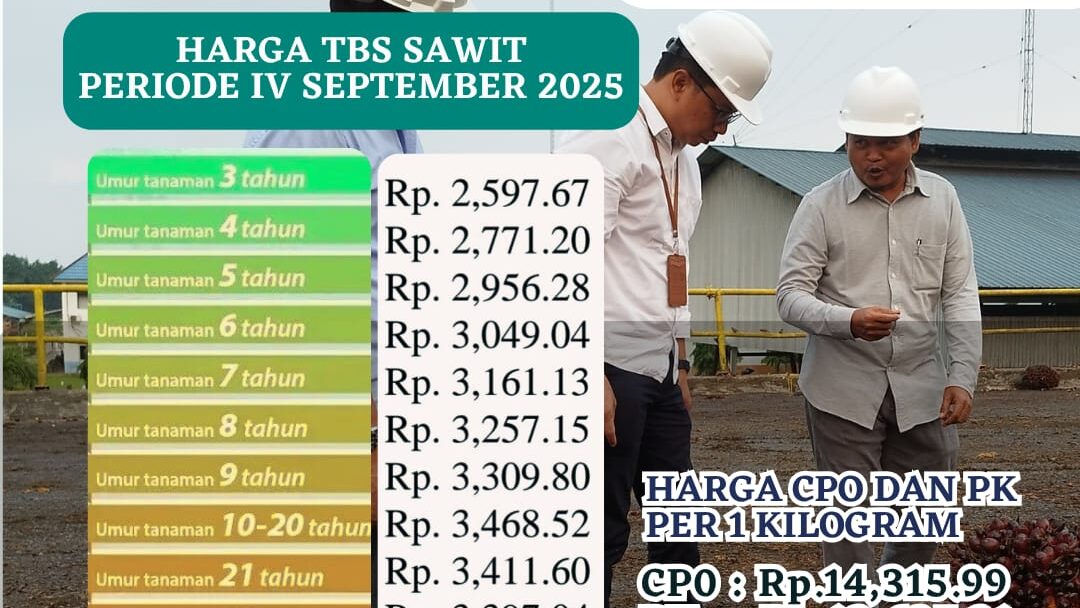 Harga TBS Kelapa Sawit Kalbar Periode September 2025 Ditetapkan Naik Rp21,67/Kg