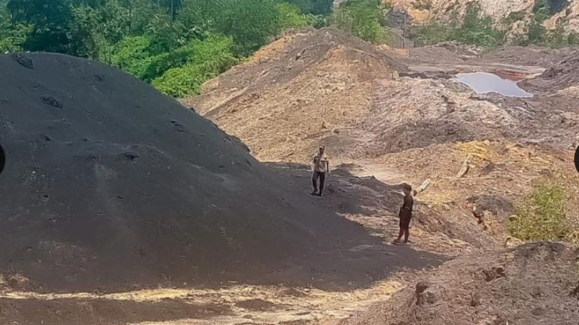 Satgas Otorita IKN Bongkar Praktik Tambang Ilegal di Kawasan Tahura