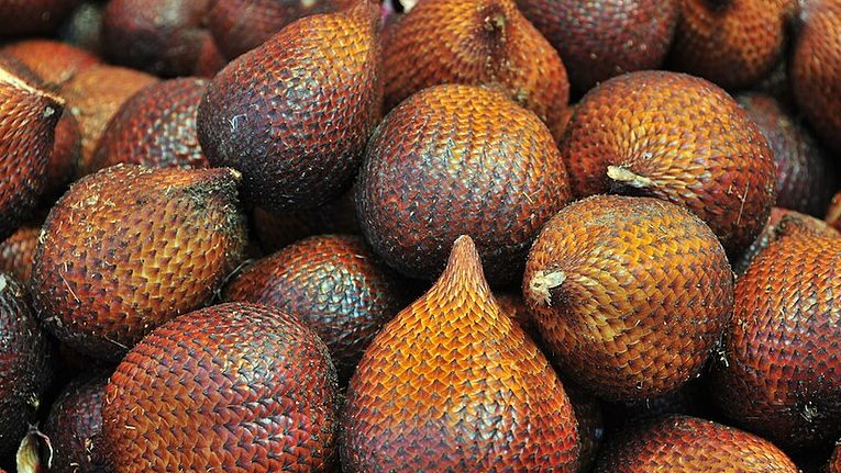 4 Manfaat Buah Salak yang Jarang Disadari, Baik untuk Mata dan Otak