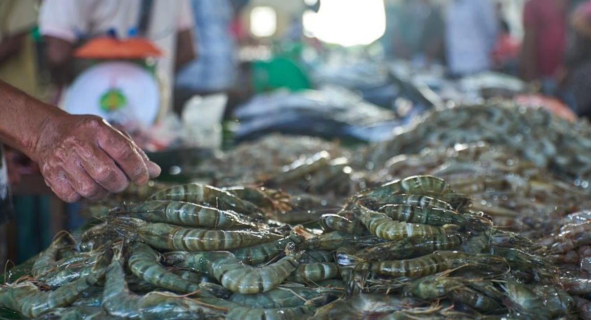 5 Ton Udang Ditolak AS: Kontaminasi 10,8 Bq/Kg Ditemukan di 494 Kotak