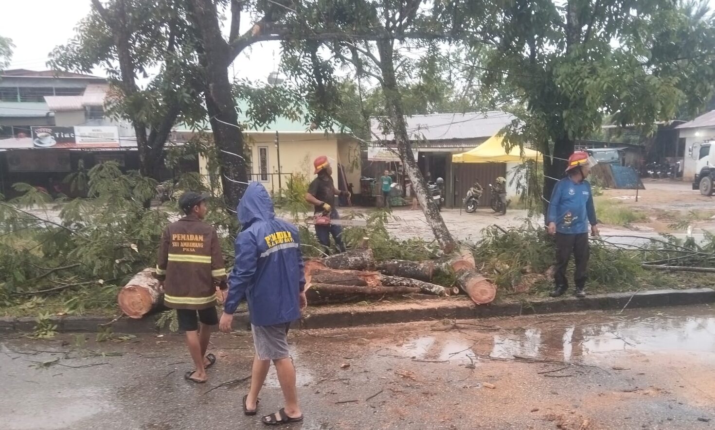 Cuaca Ekstrem Robohkan Pohon di Bundaran Transmart, Polres Kubu Raya Minta Pengendara Waspada