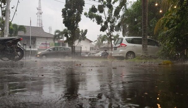Laporan BPBD Kalbar: Hujan Guyur Sebagian Besar Wilayah Kalbar, Singkawang Soroti Kasus DBD Tertinggi