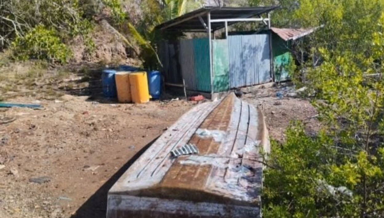 Habitat Komodo Terancam Racun Merkuri, KPK Endus Dugaan Suap di Balik Tambang Emas Ilegal Sebayur Besar