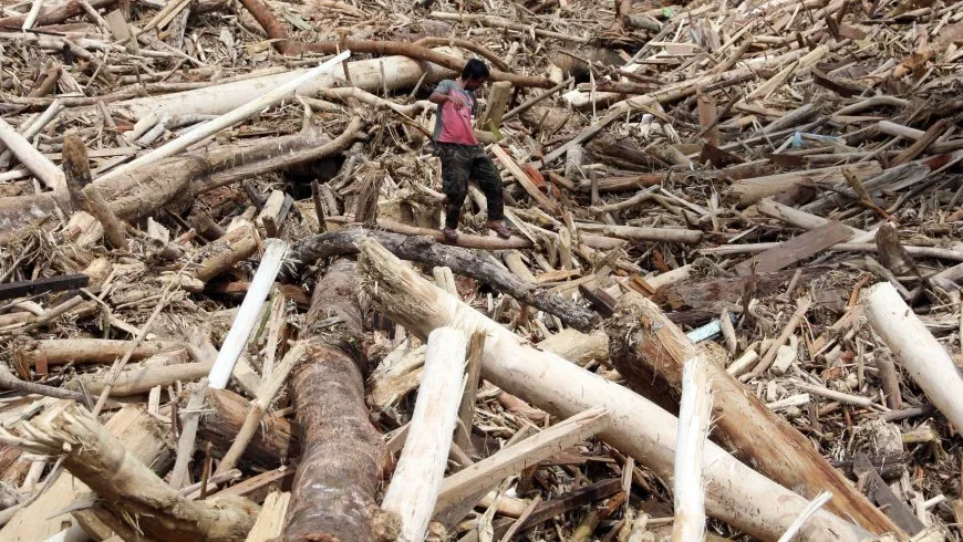 Polemik Izin Penebangan Hutan di Tapsel: Bupati Kaget Akses Dibuka, Kemenhut Bilang Itu Tidak Benar