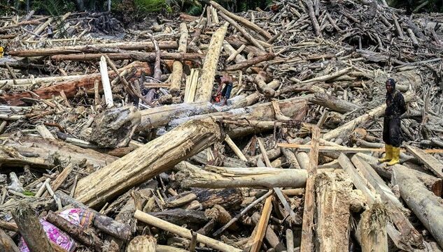Polisi Temukan Bekas Gergaji di Kayu Banjir Sumatra: Pidana Menanti