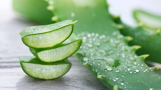 Bukan Cuma Buat Rambut! Ini 7 Manfaat Ajaib Aloe Vera untuk Wajah dan Kesehatan