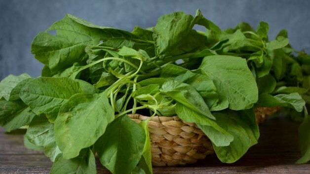 Bukan Sekadar Makanan Popeye, Ini 5 Manfaat Ajaib Bayam bagi Kesehatan Tubuh