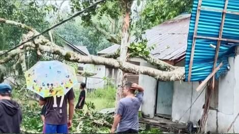 Diterjang Hujan Angin, Rumah Lansia di Kendawangan Ketapang Rusak Tertimpa Pohon Tumbang