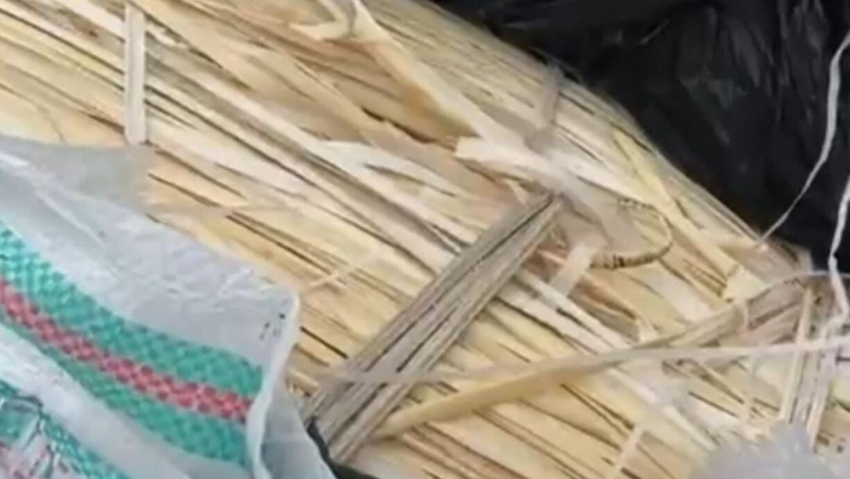 Diduga 16 Kontainer Berisi Rotan Diselundupkan ke China Melalui Pelabuhan Dwikora Pontianak