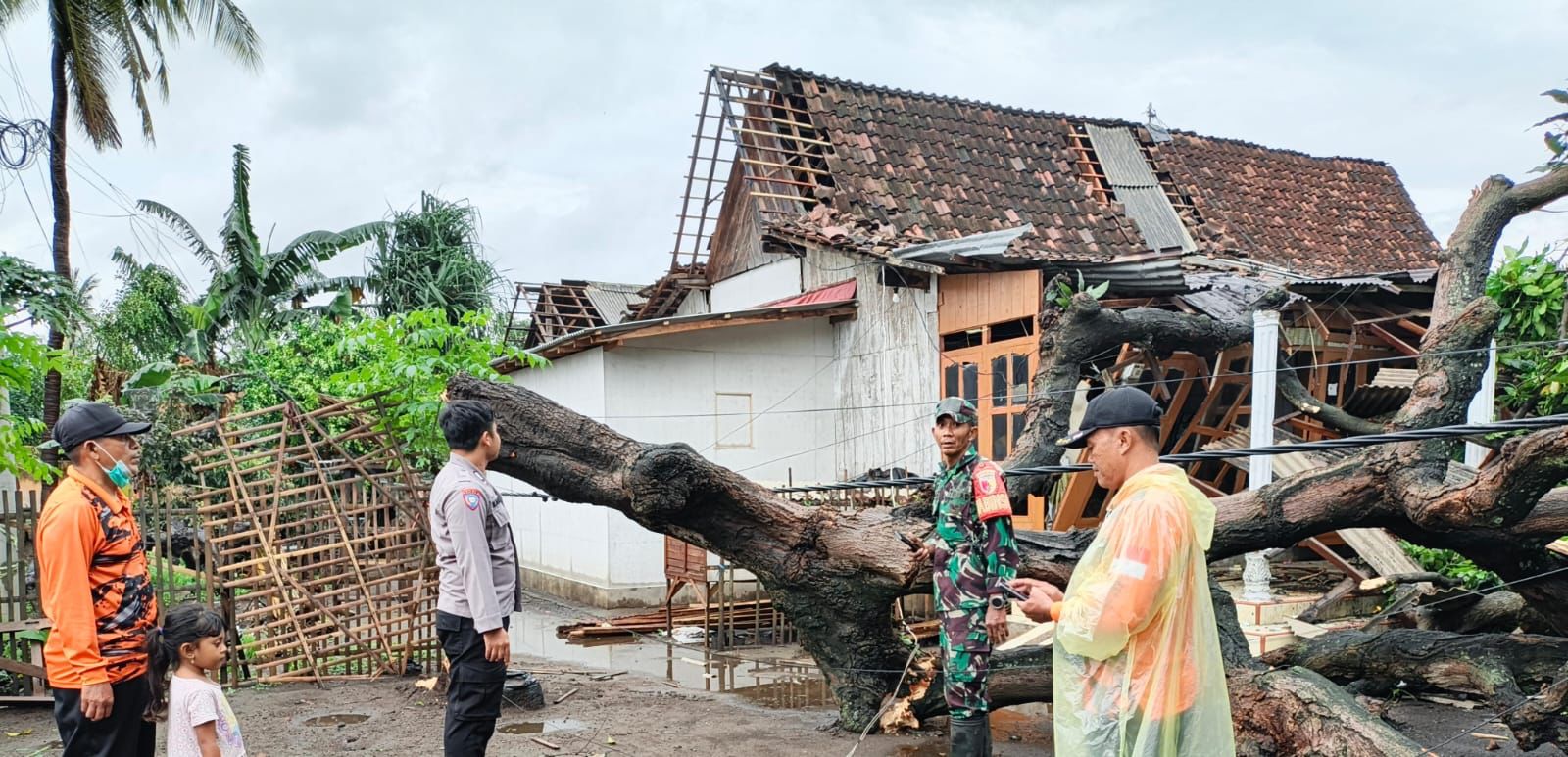 Lima Rumah Rusak Berat, Angin Puting Beliung Terjang Desa Banyuputih Situbondo