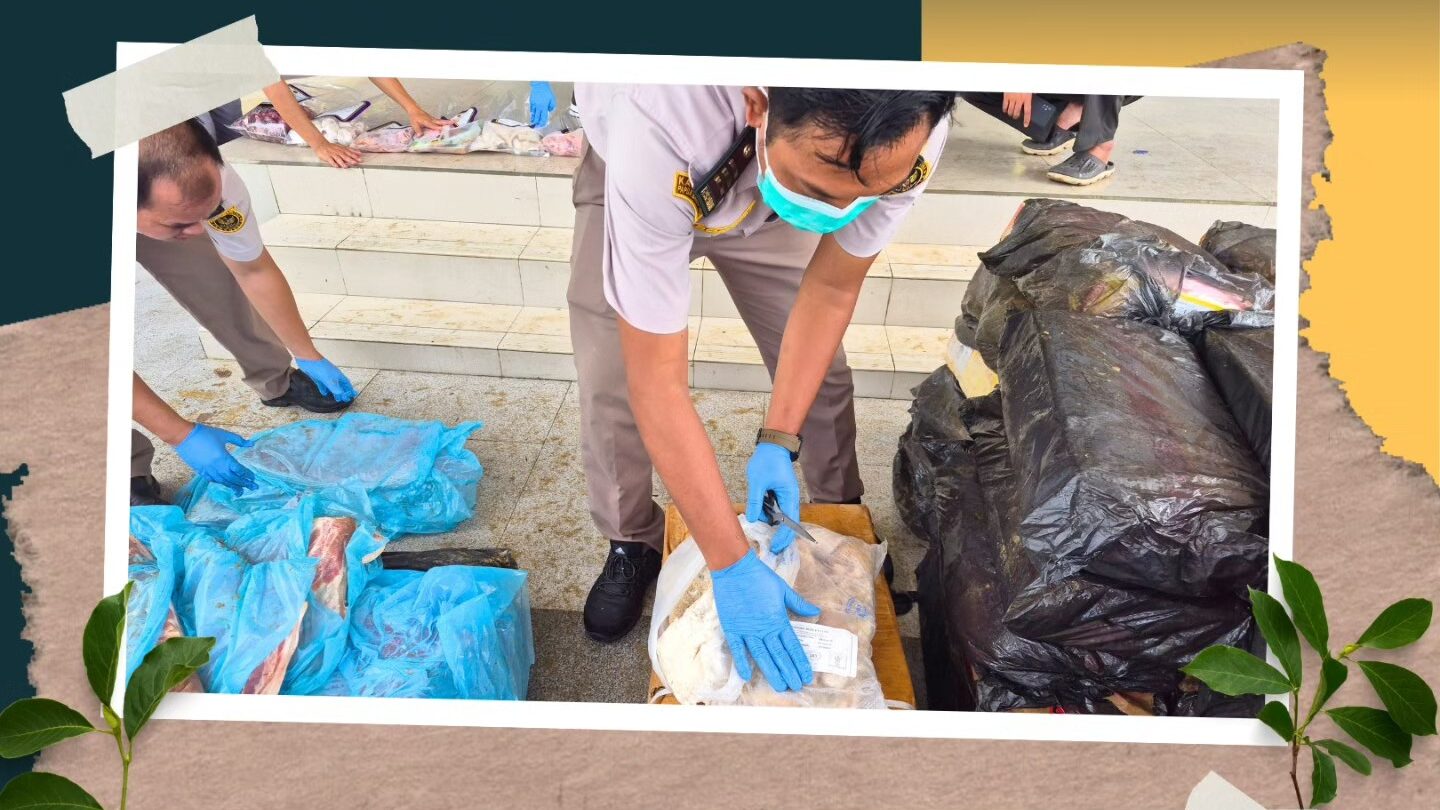 Antisipasi Virus Nipah, Tim Gabungan Entikong Sita 1,8 Ton Daging Ilegal Asal Malaysia